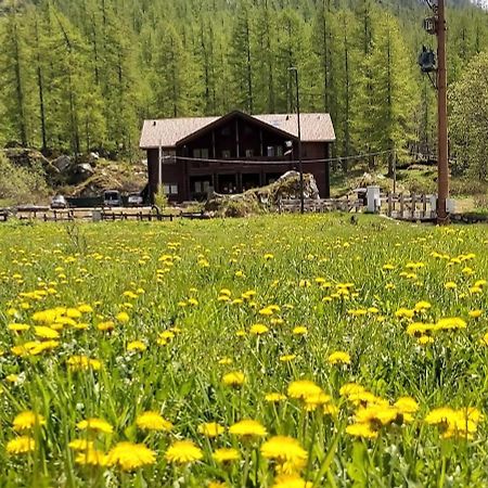 Chalet Rosa Dei Monti Hotel Valprato Soana Ngoại thất bức ảnh