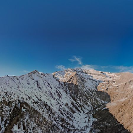 Chalet Rosa Dei Monti Piamprato Ngoại thất bức ảnh