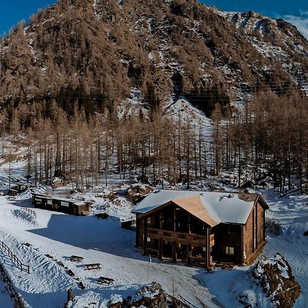 Chalet Rosa Dei Monti Piamprato Ngoại thất bức ảnh