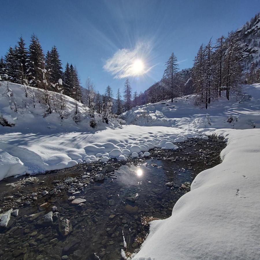 Chalet Rosa Dei Monti Piamprato Ngoại thất bức ảnh