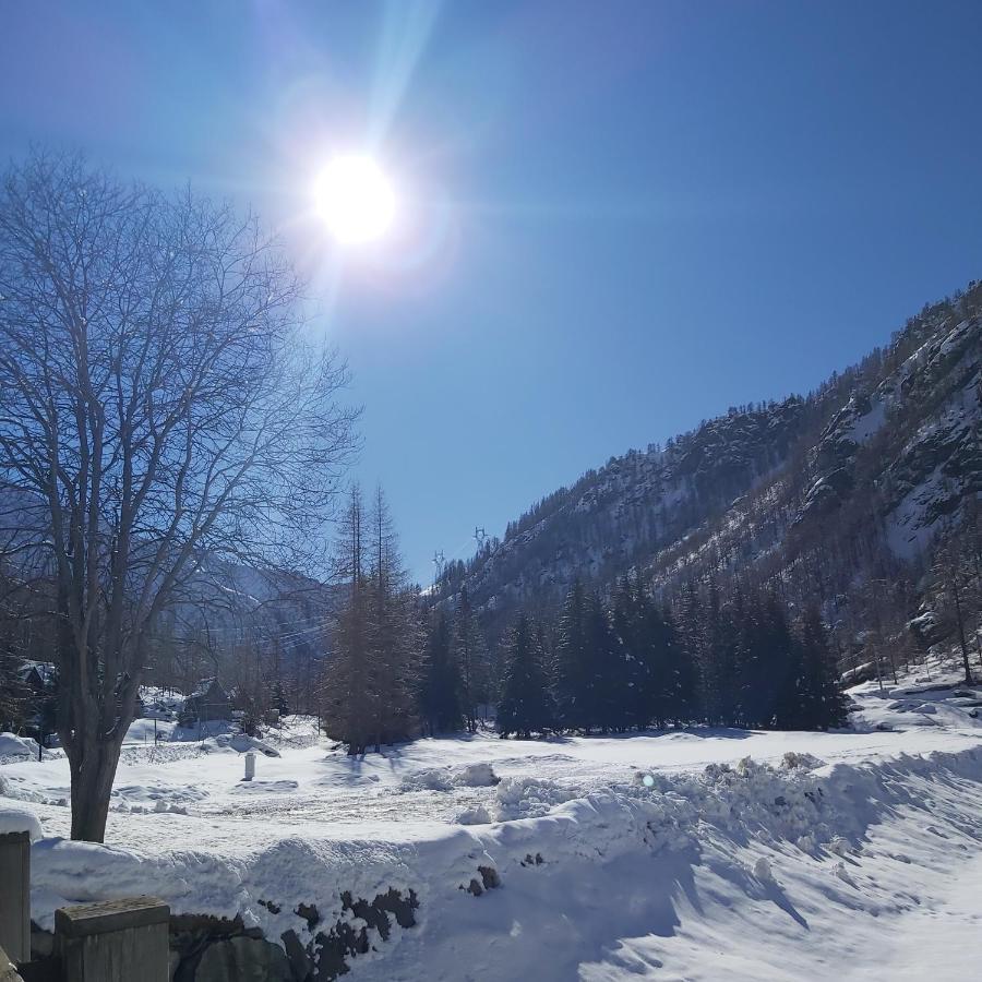 Chalet Rosa Dei Monti Piamprato Ngoại thất bức ảnh