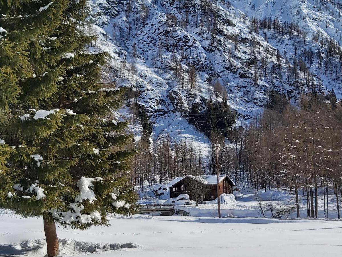 Chalet Rosa Dei Monti Piamprato Ngoại thất bức ảnh