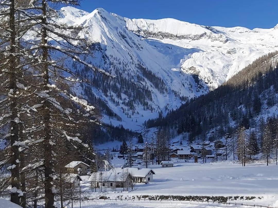 Chalet Rosa Dei Monti Piamprato Ngoại thất bức ảnh