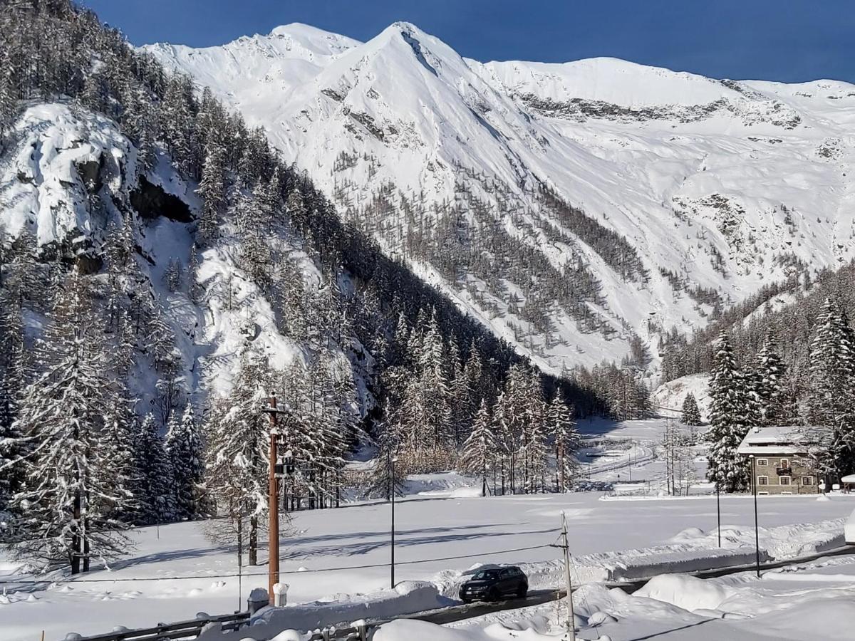 Chalet Rosa Dei Monti Piamprato Ngoại thất bức ảnh