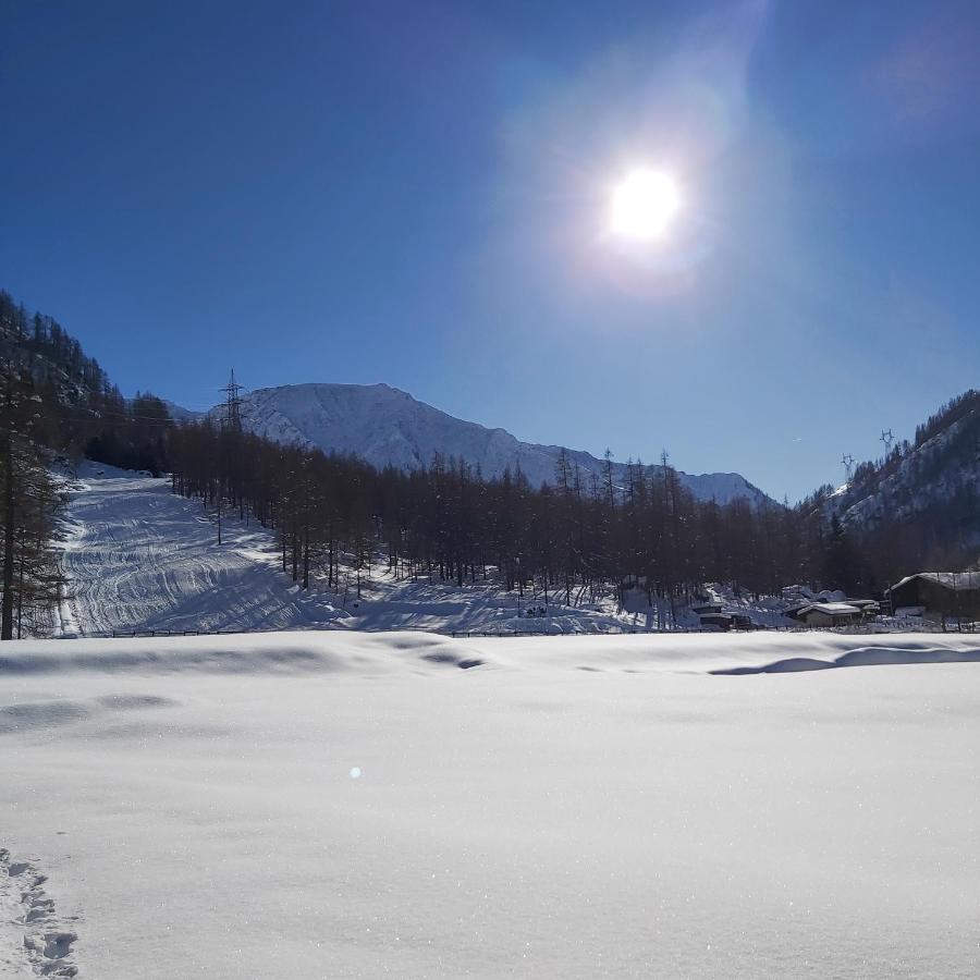Chalet Rosa Dei Monti Piamprato Ngoại thất bức ảnh