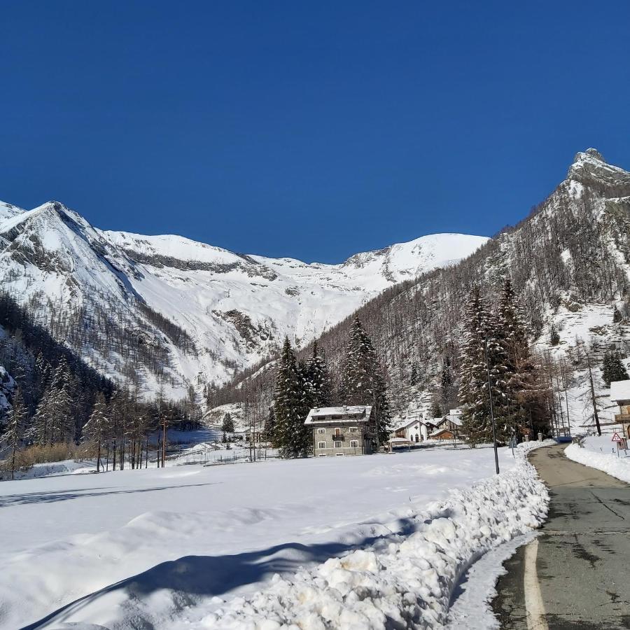 Chalet Rosa Dei Monti Hotel Valprato Soana Ngoại thất bức ảnh