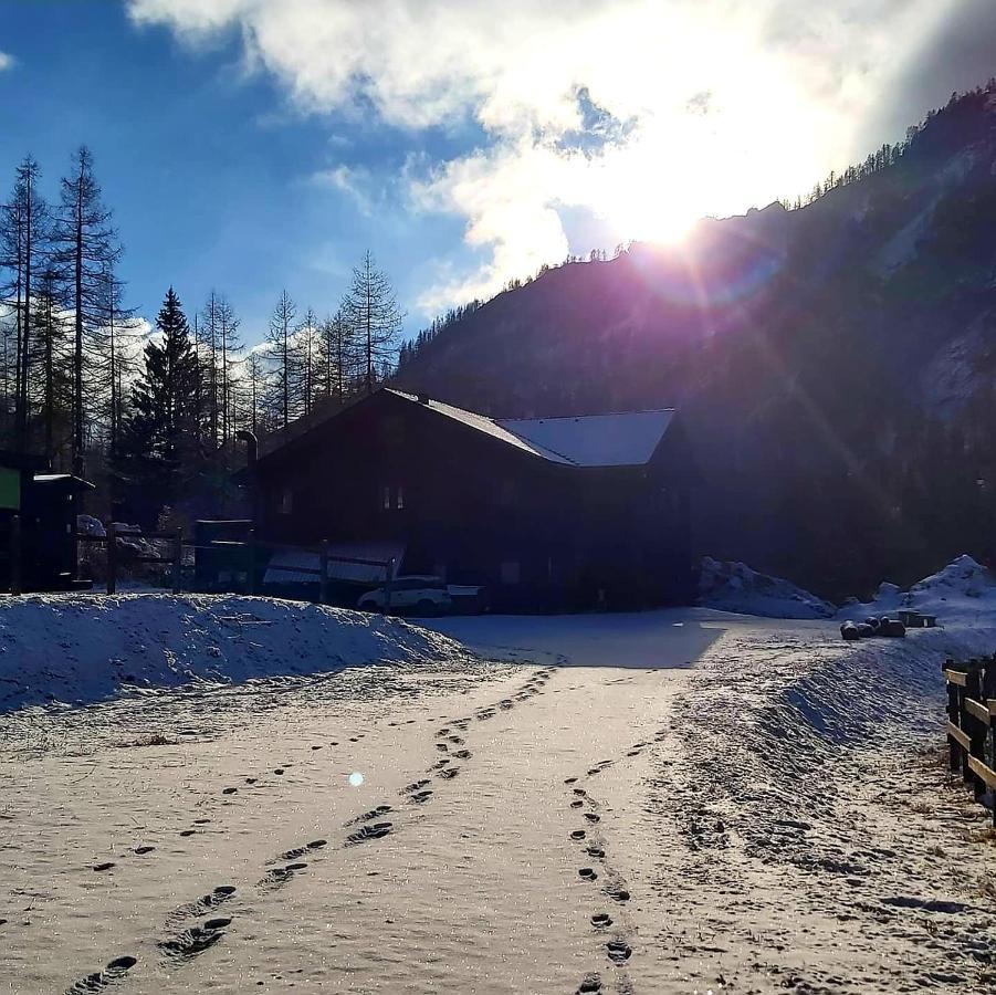 Chalet Rosa Dei Monti Piamprato Ngoại thất bức ảnh