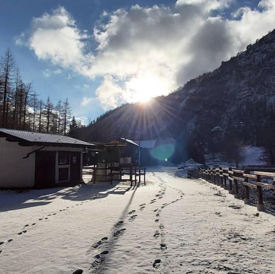 Chalet Rosa Dei Monti Piamprato Ngoại thất bức ảnh