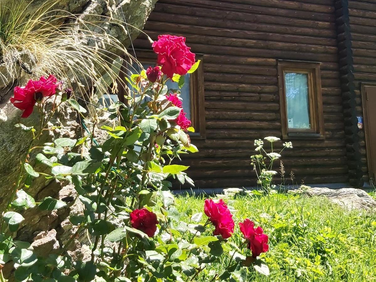 Chalet Rosa Dei Monti Piamprato Ngoại thất bức ảnh