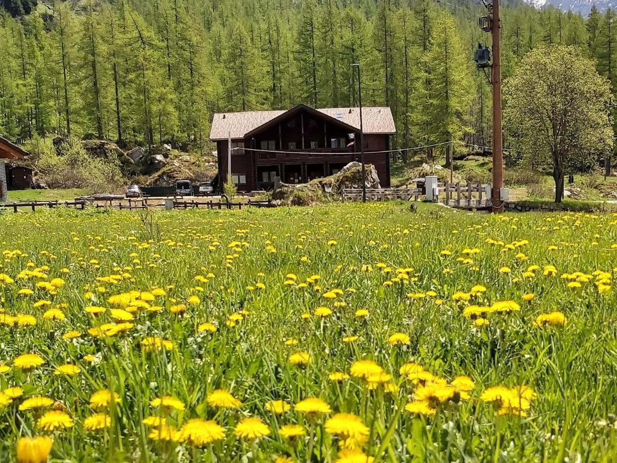 Chalet Rosa Dei Monti Piamprato Ngoại thất bức ảnh