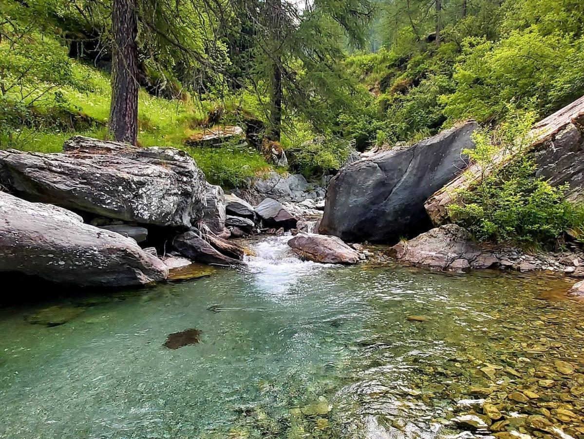 Chalet Rosa Dei Monti Piamprato Ngoại thất bức ảnh