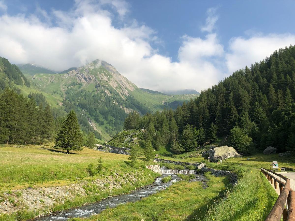 Chalet Rosa Dei Monti Piamprato Ngoại thất bức ảnh
