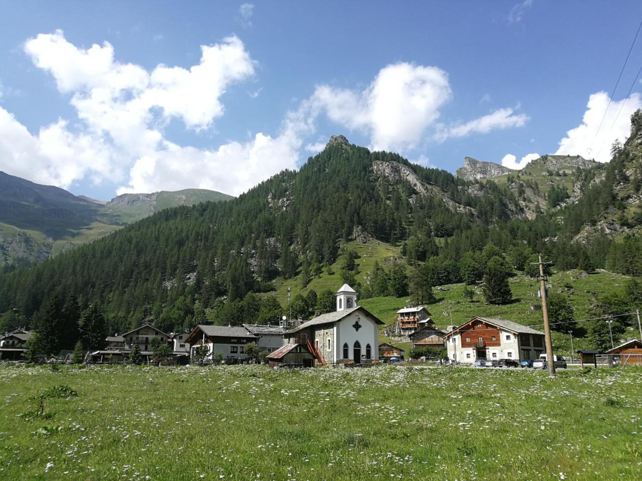Chalet Rosa Dei Monti Piamprato Ngoại thất bức ảnh