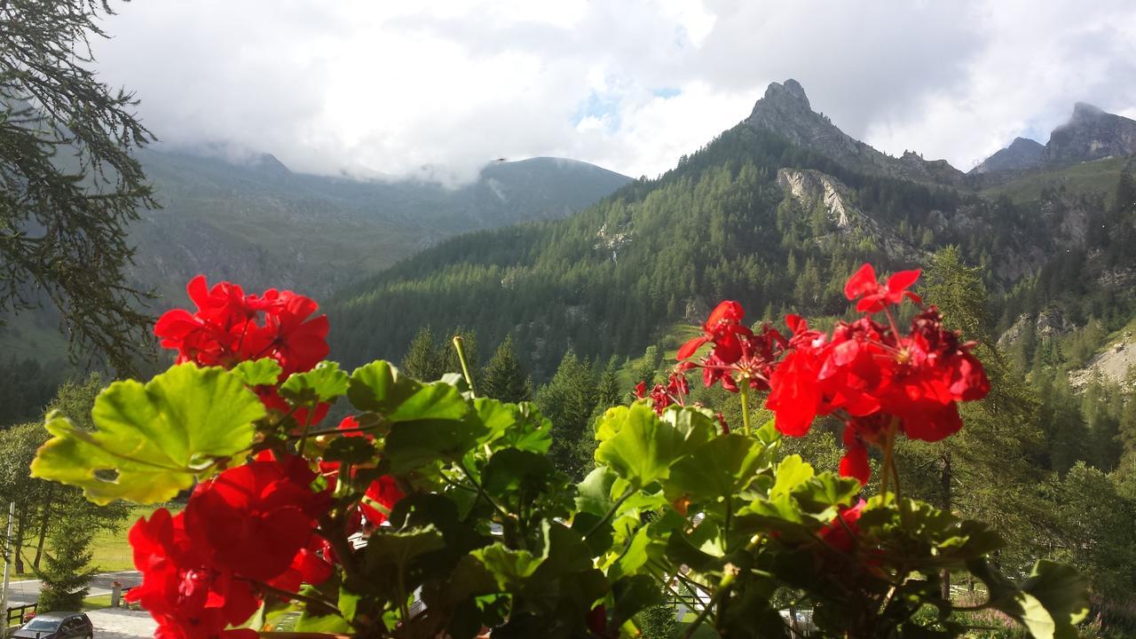 Chalet Rosa Dei Monti Piamprato Ngoại thất bức ảnh