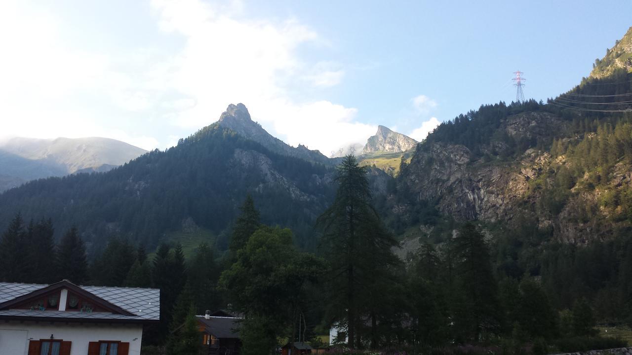Chalet Rosa Dei Monti Piamprato Ngoại thất bức ảnh