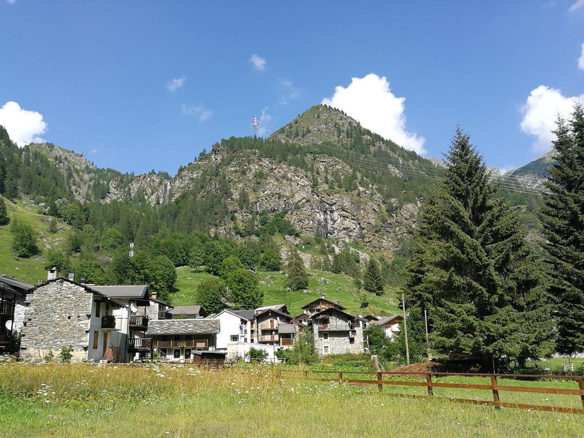 Chalet Rosa Dei Monti Piamprato Ngoại thất bức ảnh