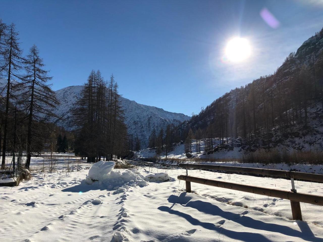 Chalet Rosa Dei Monti Piamprato Ngoại thất bức ảnh