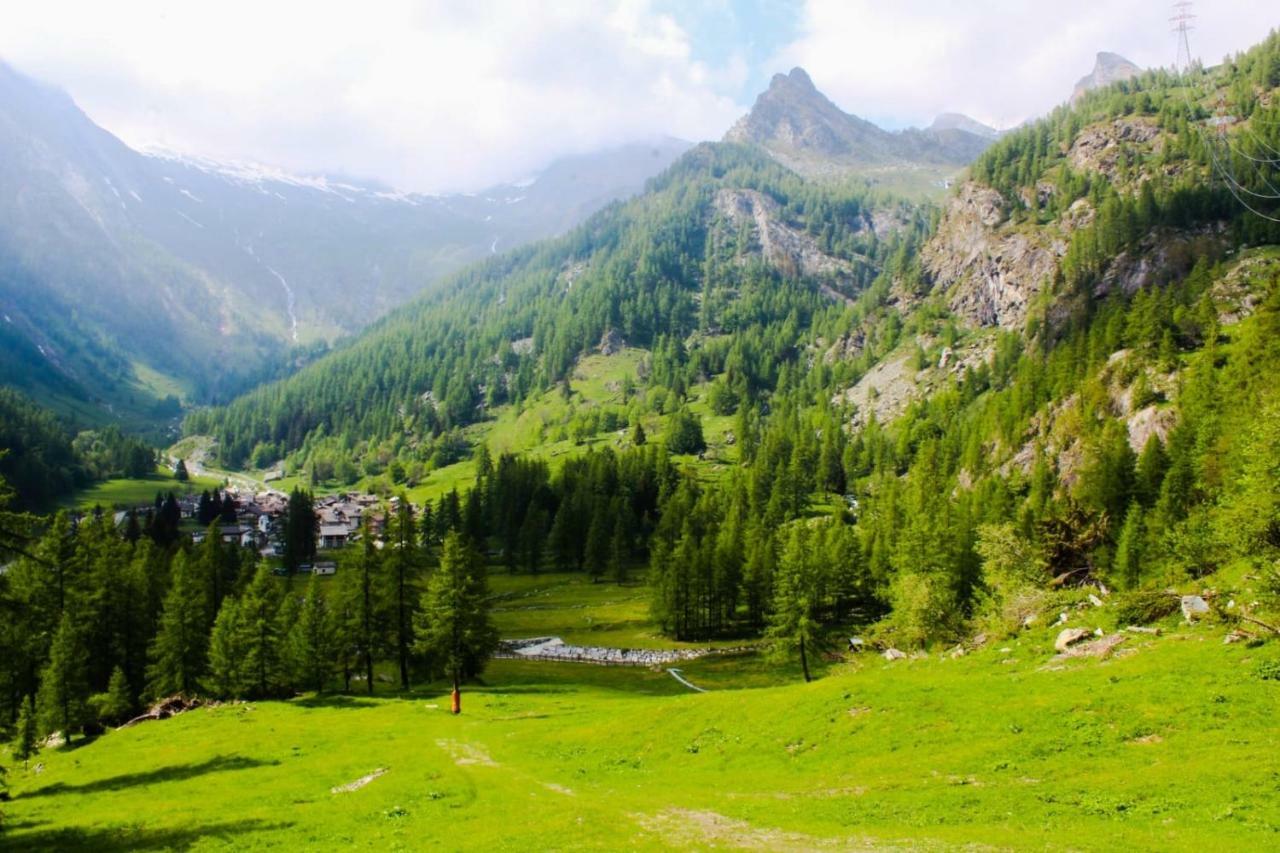 Chalet Rosa Dei Monti Piamprato Ngoại thất bức ảnh