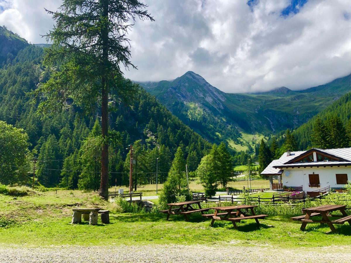 Chalet Rosa Dei Monti Piamprato Ngoại thất bức ảnh